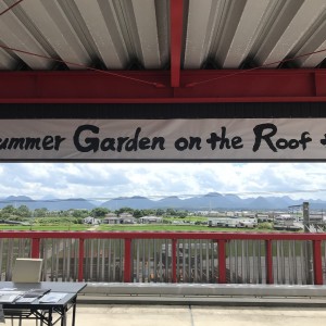 Summer Garden on the Rooftop